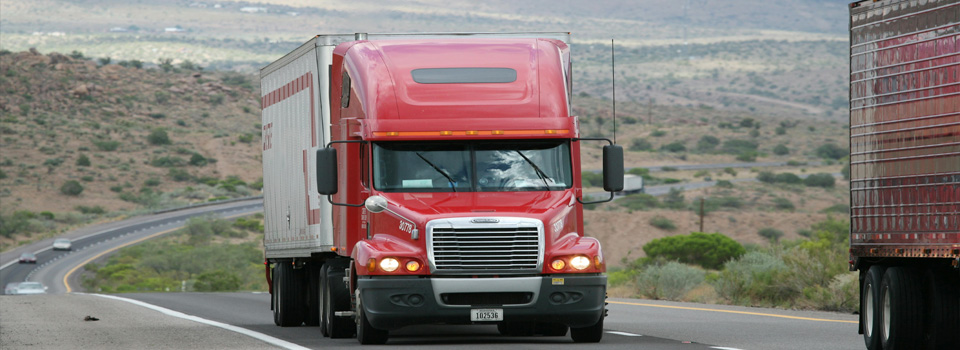5cda2024b85a2.jpg